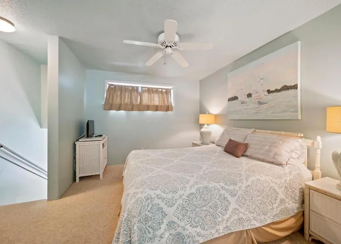 Apartment Sugar 342 By Collection