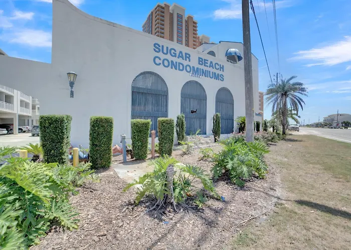 Apartment Sugar 342 By Collection